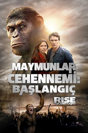 Seri Filmler
